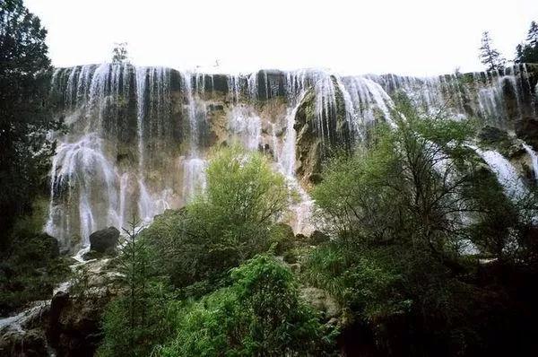 春雨直播app